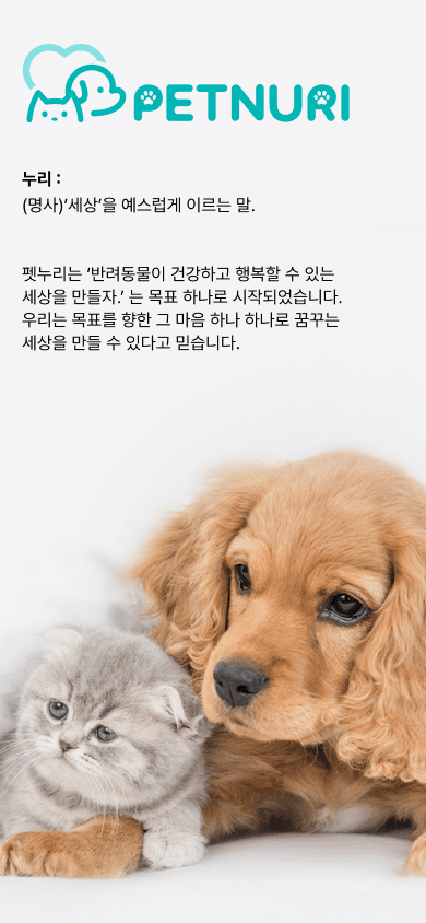 About Image 1