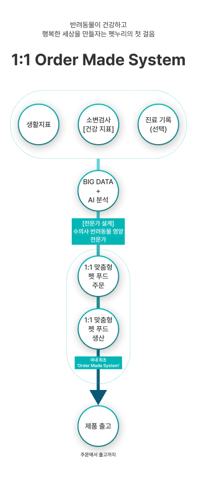 About Image 2